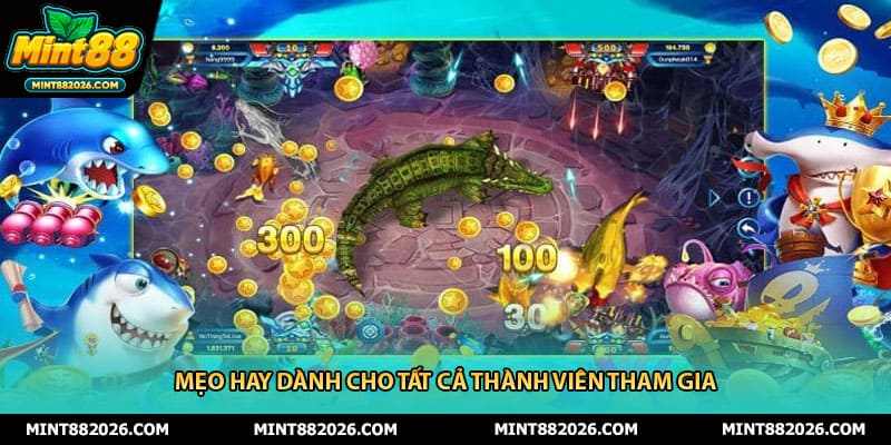 Mẹo hay dành cho tất cả thành viên tham gia